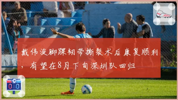 戴伟浚脚踝韧带撕裂术后康复顺利,有望在8月下旬深圳队回归