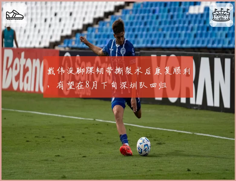 戴伟浚脚踝韧带撕裂术后康复顺利,有望在8月下旬深圳队回归